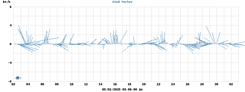 Wind Vector