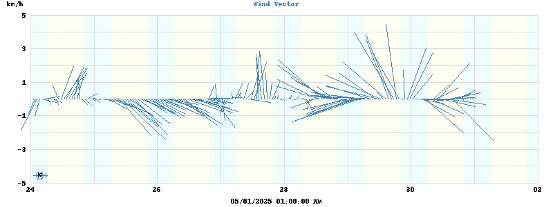 Wind Vector